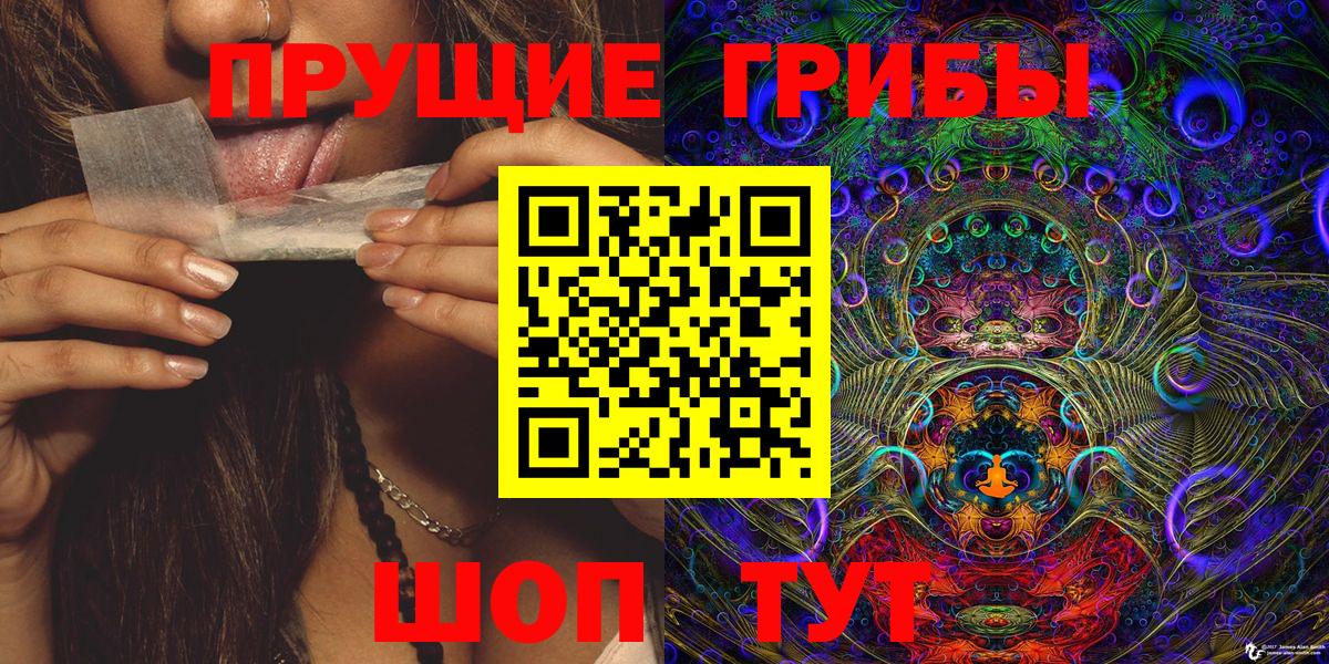 Изобильный  Псилоцибиновые грибы Cubensis  Вход с VPN 